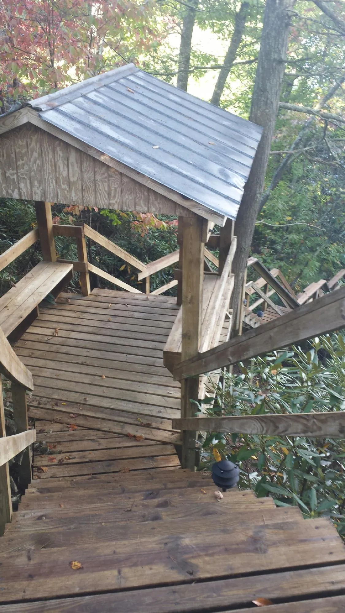 Metal roofed shelter over wooden steps on a wooded walkway — Skylight Repair & Installation work by our crew in Mehama