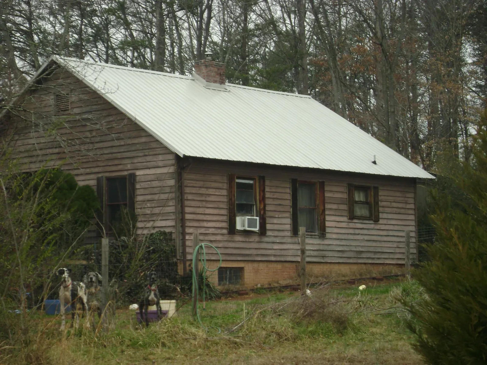 White metal roof on an old wood sided farmhouse, from a Metal Roof Installation job in Mehama
